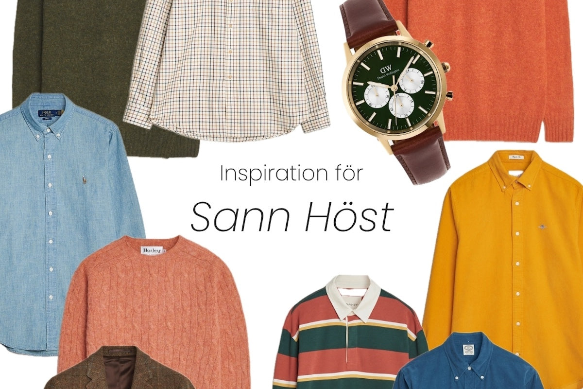 Inspiration för Sann Höst